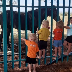 WhatsApp Image 2025-02-11 at 06.23.26